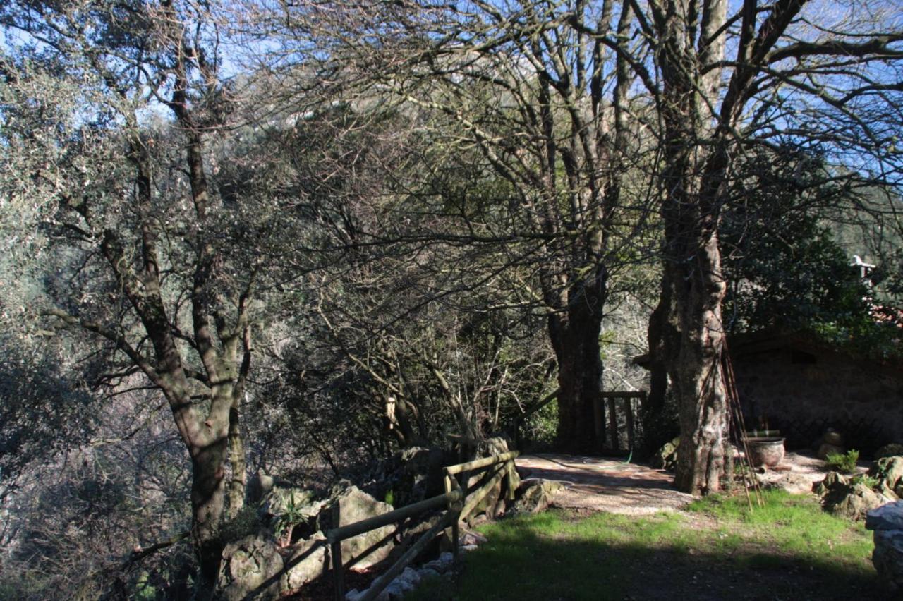 Domocantabria Villa Sobremazas Exterior photo